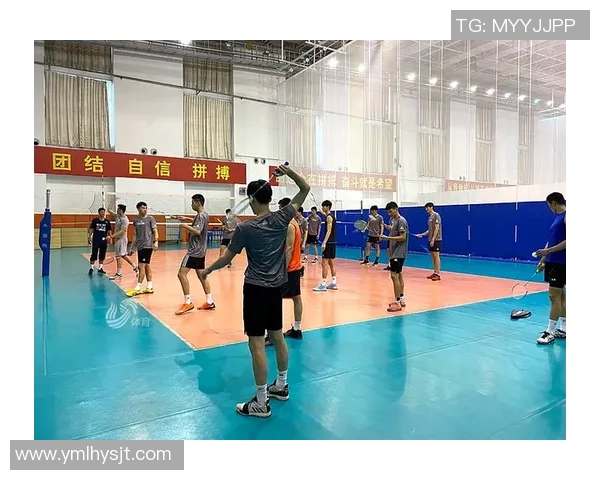 深度对话：探索刘磊的排球人生与奋斗历程